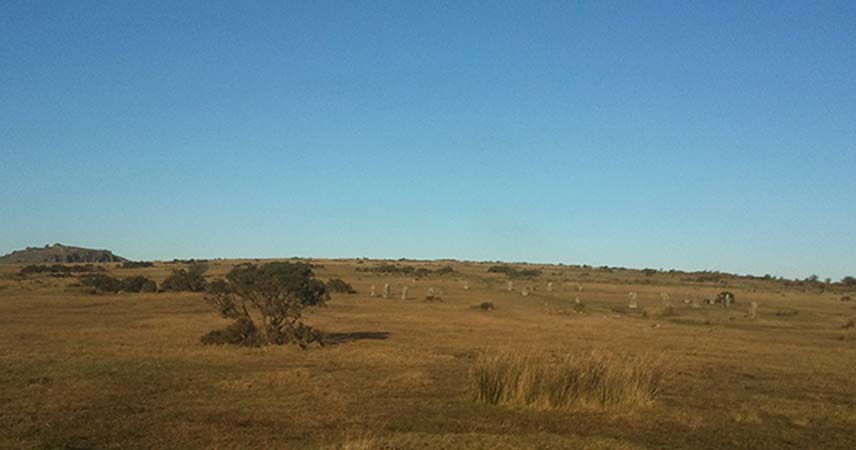 Picture of large area on Cornwall's moor where people look for geocaches.