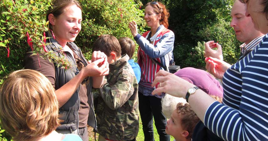 Group of adults and children foraging from bushes and trees at Bosinver.
