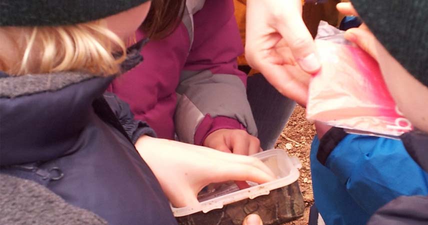 Children geocaching in Cornwall whilst being supported by adults.