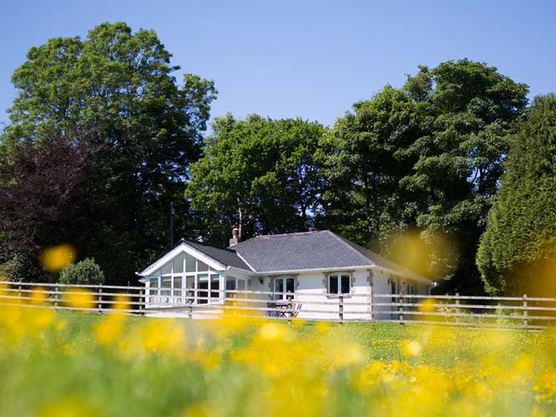 Exterior shot of Buddleia cottage at Bosinver in Cornwall on a sunny day.