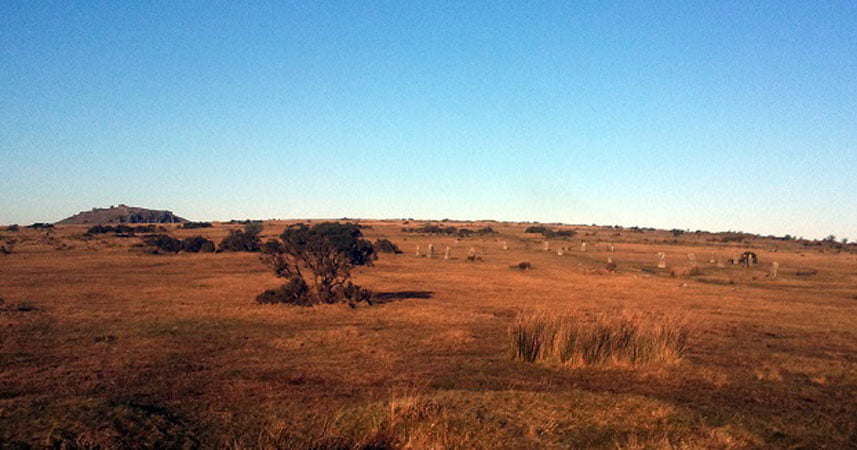 Photo of a large open space on the moors in Cornwall on a sunny day.
