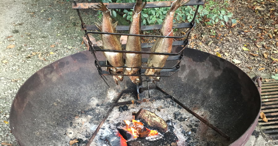 Three fish grilling over a fire outside at Bosinver.