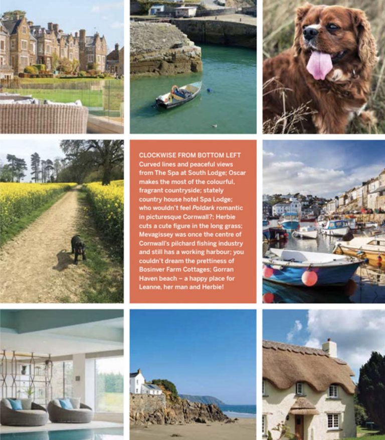 Grid of 8 images form locations around Cornwall