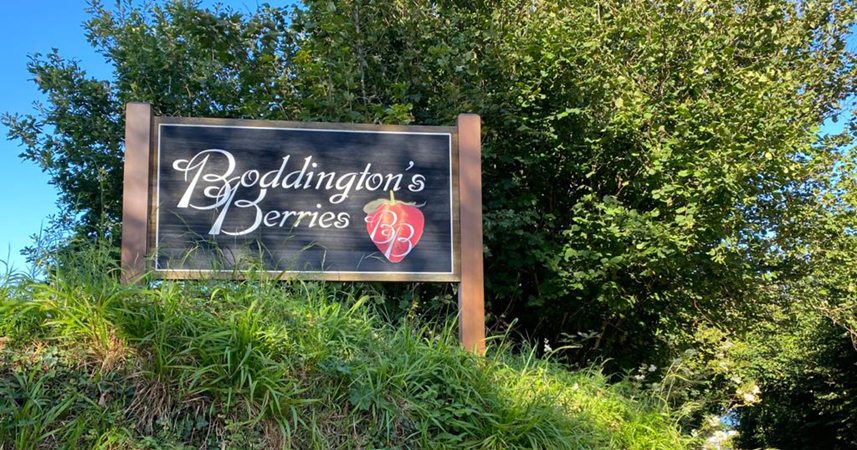 Sign at entrance of Boddington's Berries, Mevagissey, Cornwall