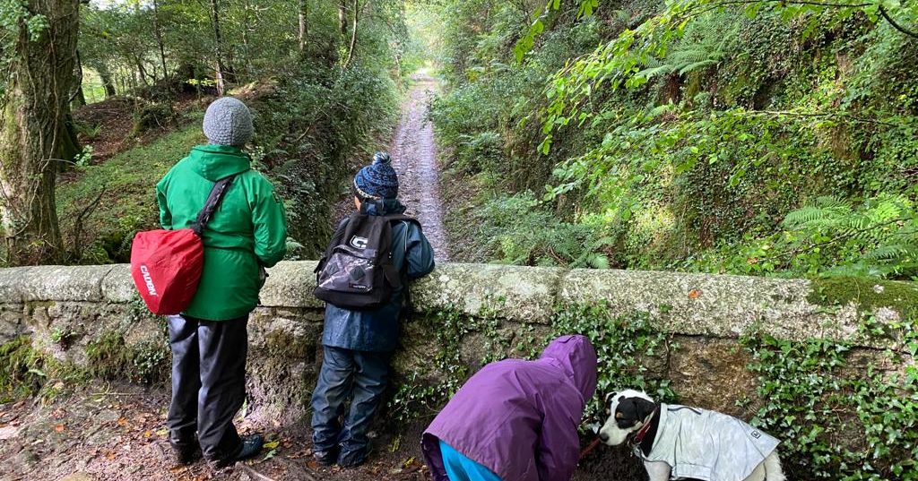 A viaduct in the Luxulyan Valley, Cornwall with three people and a dog standing overlooking a path through the woods