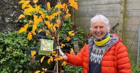 Pat in a red jacket next to a beautiful crab apple tree with golden yellow leaves