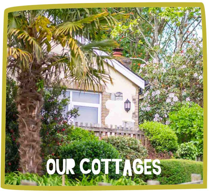 Close up of a holiday let cottage in Cornwall