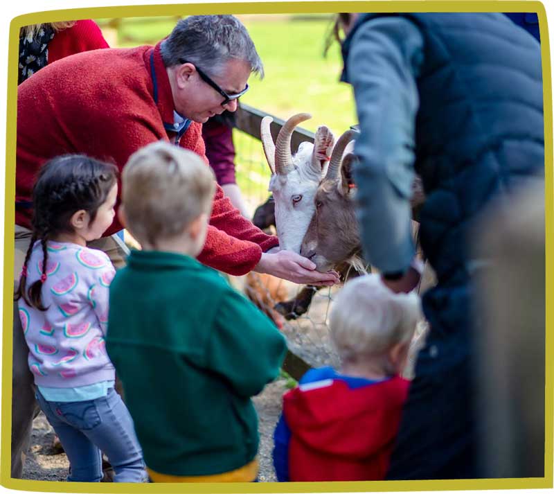Group of children and adults feeding goats at Bosinver.
