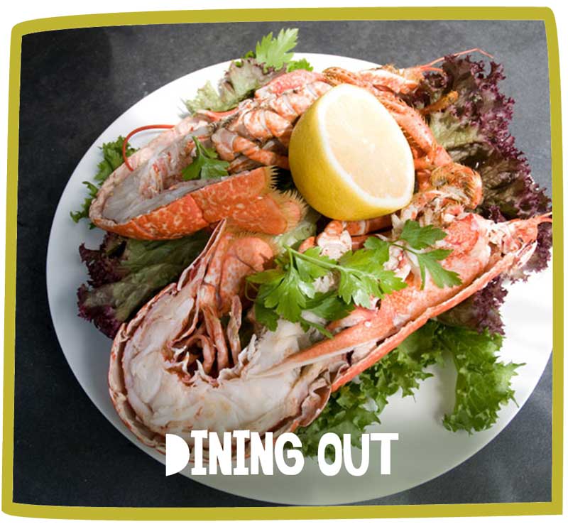 Lobsters on a plate with a large wedge of lemon atop of salad.