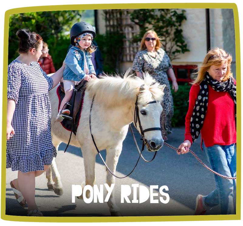 Small child riding a pony at Bosinver whilst adults supervise.