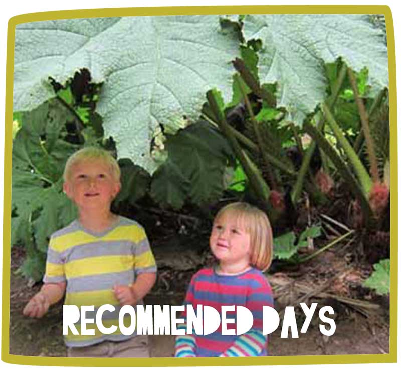 Two children exploring the area around them, with two large plants in the background.