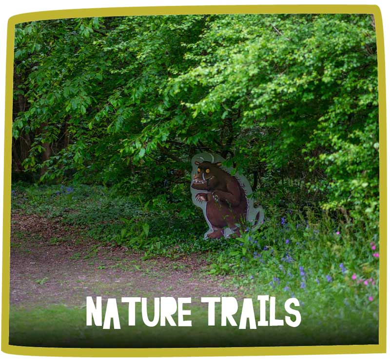 Nature trail with a Gruffalo cut out hiding in the trees.