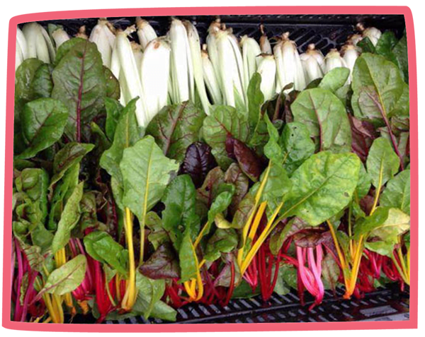 Vegetables in a basket waiting to be delivered at Bosinver
