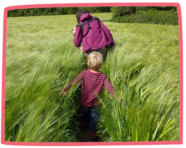 Small family walking through a field on a sunny day in Cornwall.