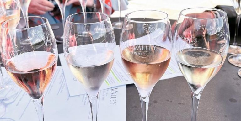 Various glasses of wine on a table