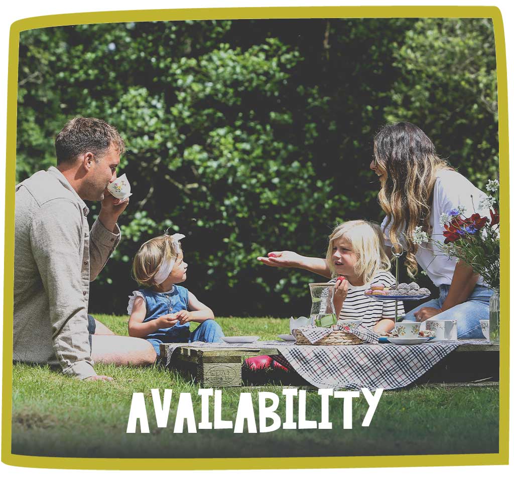 family picnic at bosinver
