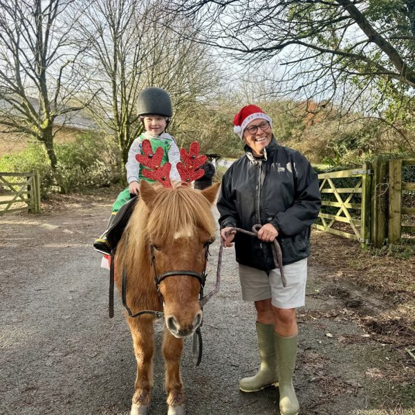 christmas pony