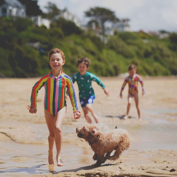dog friendly family