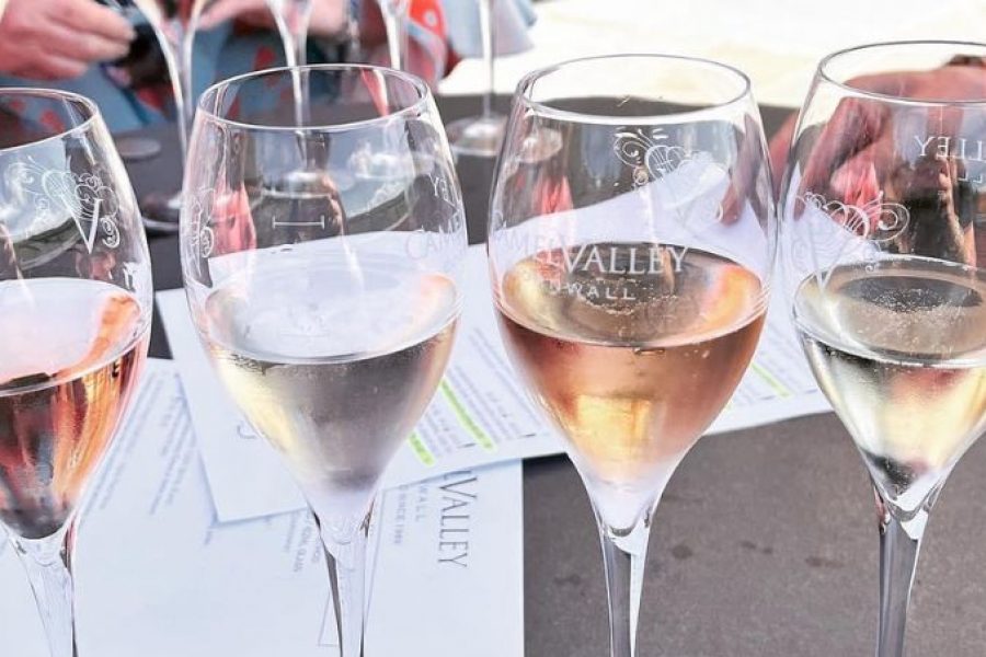 Various glasses of wine on a table